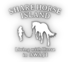 SHARE HORSE ISLAND
